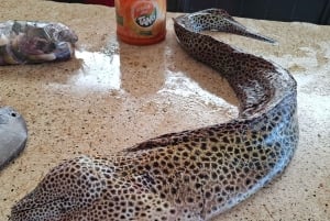 Mombasa : visite guidée du Fort Jesus, de la vieille ville et de la faune