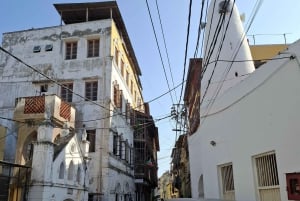 MOMBASA: Fort Jesus, Stare Miasto, żyrafa, strusie, oryksy, elandy, dzika wycieczka