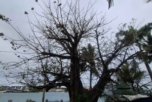 MOMBASA:FortJesus,OldTown,SpiceMarket,ShivaTemple,TuktukRide