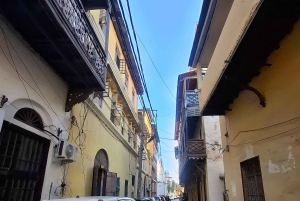 MOMBASA:FortJesus,OldTownOstrichAntelopeGiraffeOryx,WildTour