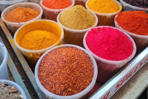 MOMBASA:FortJesus,OldTownOstrichAntelopeGiraffeOryx,WildTour