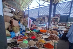 MOMBASA:FortJesus,OldTownOstrichAntelopeGiraffeOryx,WildTour