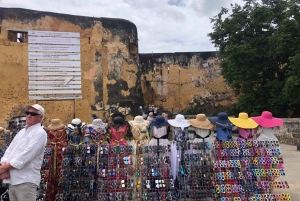 Excursion d'une journée à Mombasa - Fort Jesus et Haller Park.