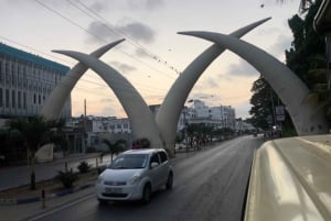 Mombasa heldags byutflukt - Fort Jesus og Haller park.