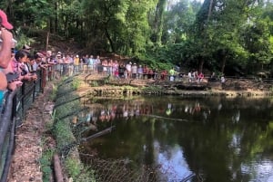 Mombasa heldags byutflukt - Fort Jesus og Haller park.