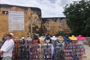 Mombasa heldags byutflukt - Fort Jesus og Haller park.