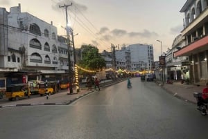 Mombasa heldags byutflukt - Fort Jesus og Haller park.