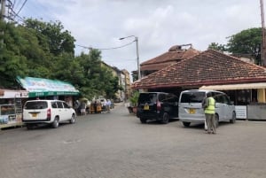 Mombasa heldags byutflukt - Fort Jesus og Haller park.