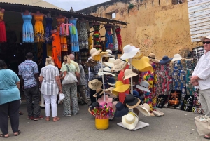 Mombasa heldags byutflukt - Fort Jesus og Haller park.