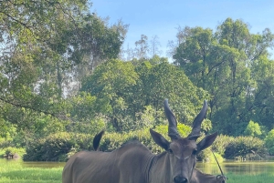 Heldagsutflykt i Mombasa och Nguuni naturreservat