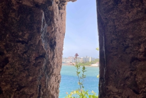 Heldagsutflykt i Mombasa och Nguuni naturreservat