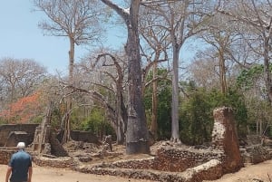 Mombasa: Gede-ruinene, Malindi og Marafa Hell's Kitchen-tur