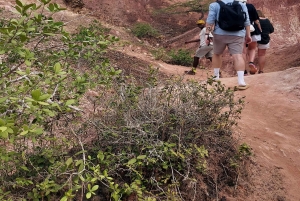 Mombasa: Gede-ruinene, Malindi og Marafa Hell's Kitchen-tur