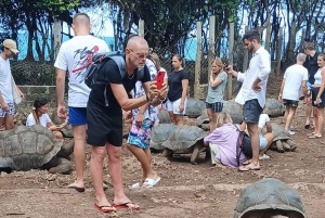 Mombasa: Experiencia de Alimentación de Jirafas en el Parque Haller en Coche.