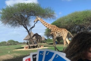 Mombasa: Guided Nature Walk Amongst Giraffes