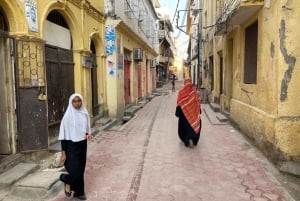 Tour de medio día por la ciudad de Mombasa