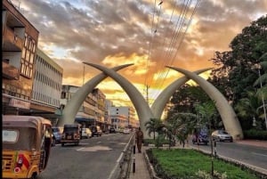 Tour de medio día por la ciudad de Mombasa