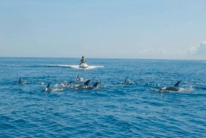 Mombasa: Jetski langs kysten