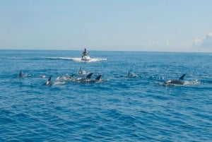 Mombasa: Jet Skiing Along the Coastline