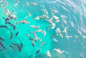 Mombasa: rejs wycieczkowy łodzią ze szklanym dnem i nurkowanie