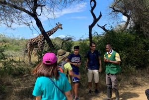 Mombasa: Guided Nature Walk Amongst Giraffes