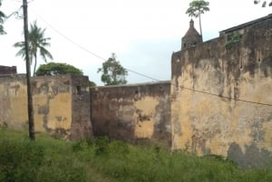 MOMBASA:FortJesus,OldCity,Giraffe,Ostrich,Oryx,WildlifeTour