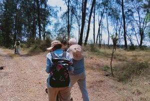 MOMBASA:FortJesus,OldCity,Giraffe,Ostrich,Oryx,WildlifeTour