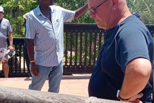 MOMBASA:FortJesus,OldCity,Giraffe,Ostrich,Oryx,WildlifeTour