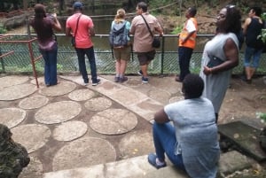 MOMBASA: Fort Jesus, gamlebyen, giraff, struts, oryx, eland, villtur