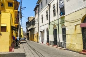 Mombasa: Private City Tour with Fort Jesus & Haller Park