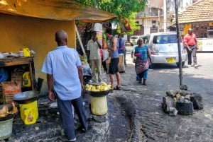 Mombasa: Private City Tour with Fort Jesus & Haller Park
