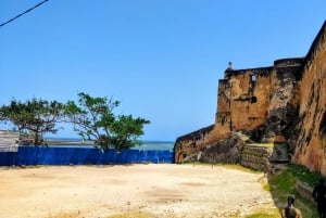 Mombasa: Private City Tour with Fort Jesus & Haller Park