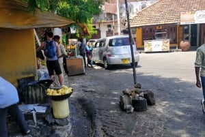 Mombasa: Private City Tour with Fort Jesus & Haller Park