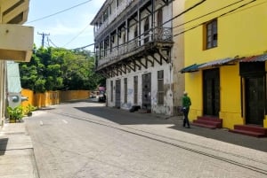 Mombasa: Private City Tour with Fort Jesus & Haller Park