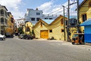 Mombasa: Private City Tour with Fort Jesus & Haller Park