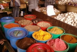 Mombasa: Private City Tour with Fort Jesus & Haller Park