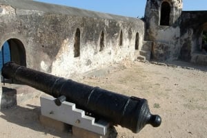 Mombasa: Private City Tour with Fort Jesus & Haller Park