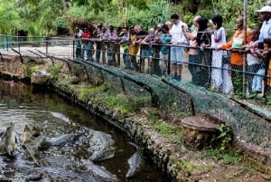 Mombasa: Private City Tour with Fort Jesus & Haller Park