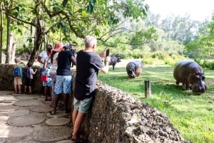 Mombasa: Private City Tour with Fort Jesus & Haller Park