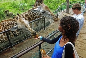 Mombasa: Private City Tour with Fort Jesus & Haller Park