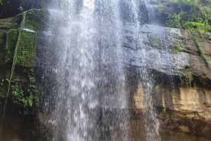 Mombasa Safari: Shimba Hills, Falls & Photography