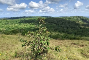 Mombasa Safari: Shimba Hills, Falls & Photography