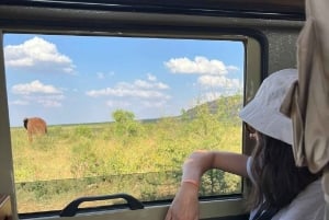 Mombasa : safari matinal et observation des animaux à Tsavo East