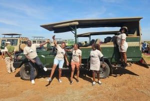 Mombasa: Tsavo East National Park päiväretki lounaalla.