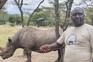 Mombasa: Tsavo East National Park päiväretki lounaalla.