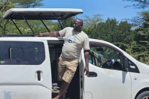 Mombasa: Tsavo East National Park päiväretki lounaalla.