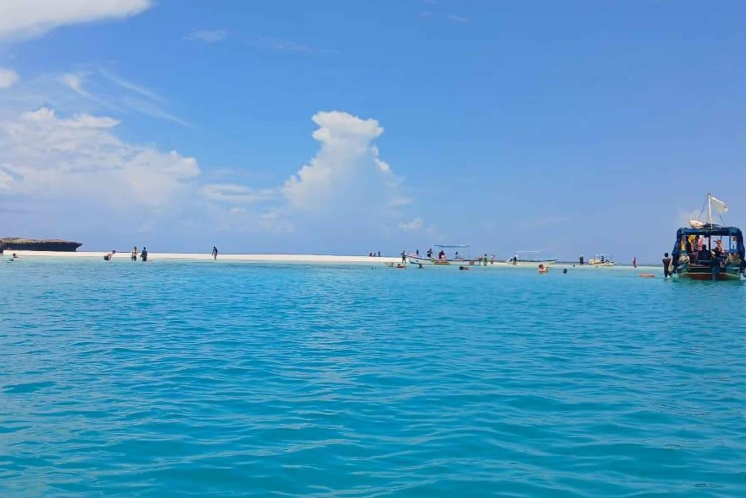 Mombasa: Wasini Dolphin Tour