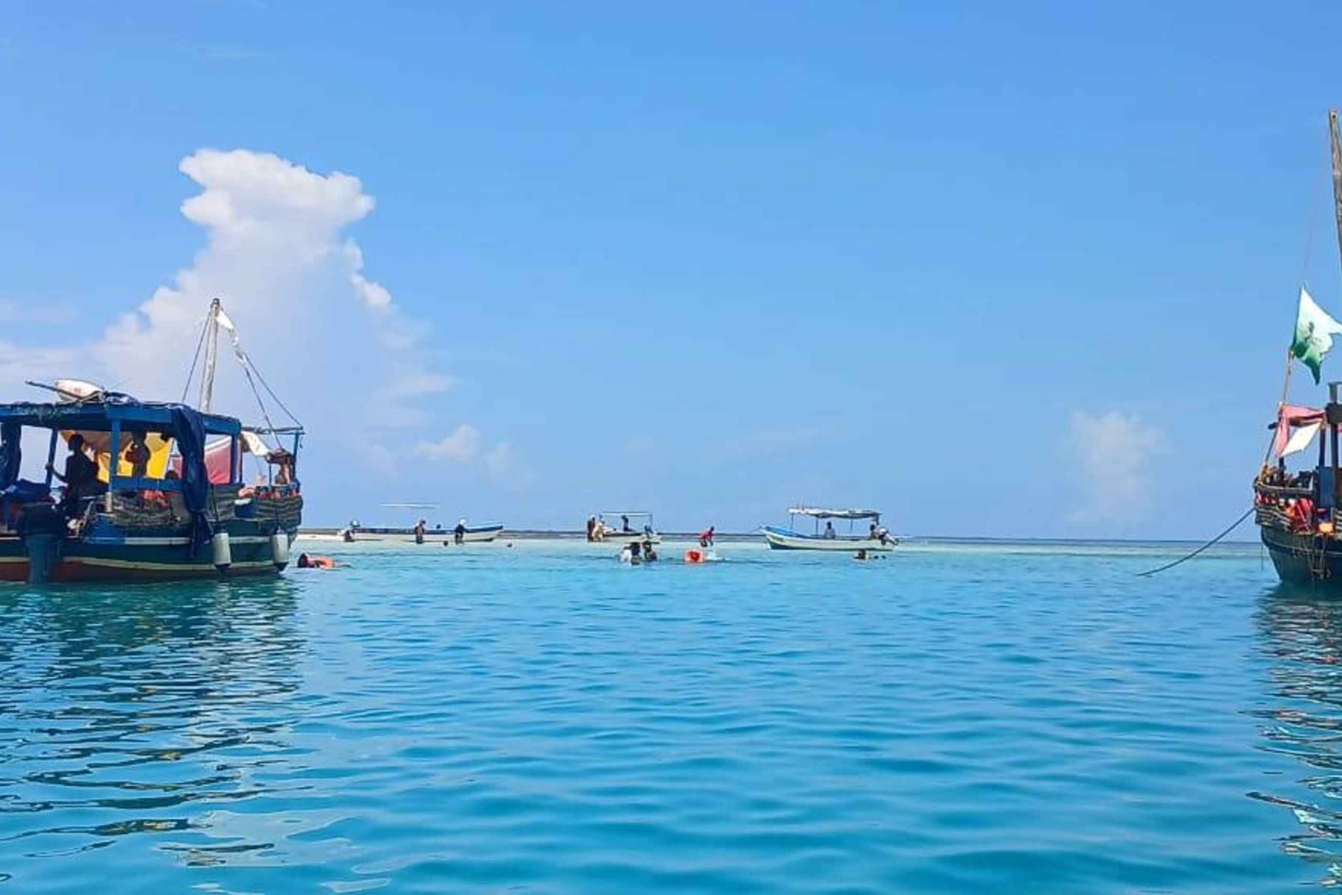 Mombasa: Wasini Dolphin Tour