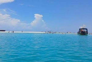 Mombasa: Wasini Dolphin Tour