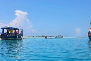 Mombasa: Tour dei delfini di Wasini
